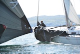 animal gbr3627c whyw21 sun 8143